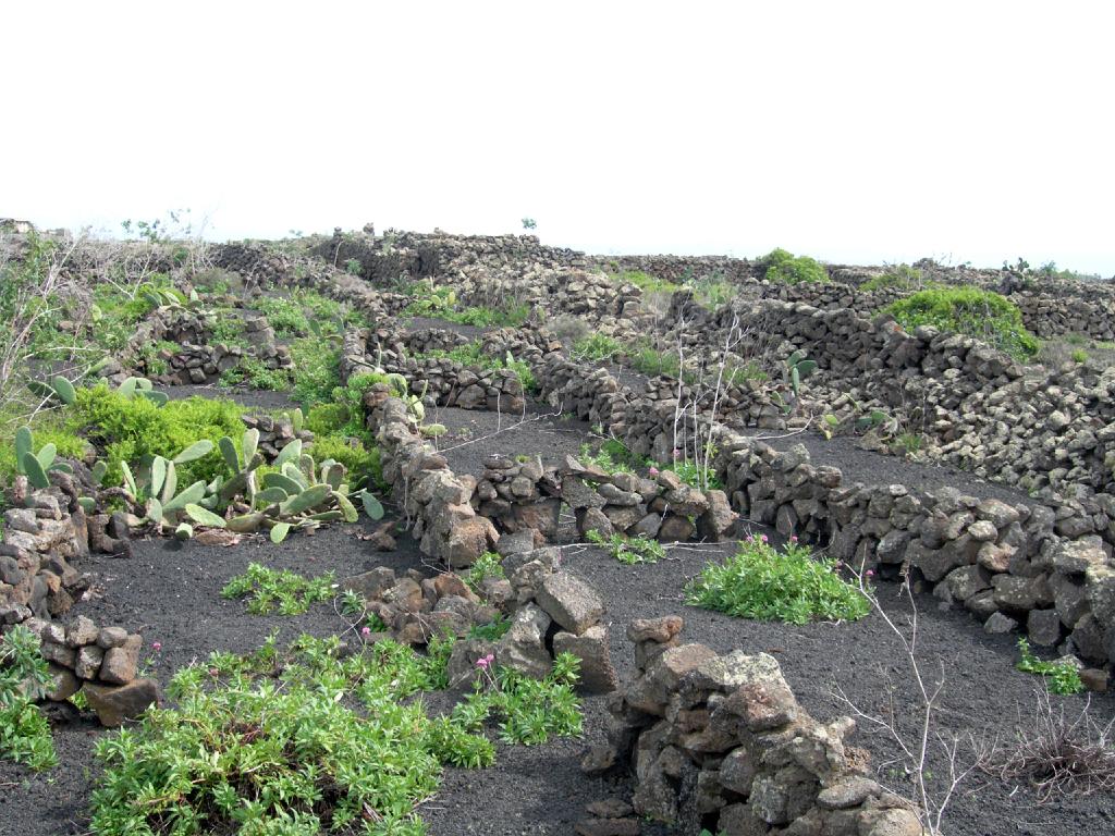 Mirador del Rio 31.jpg